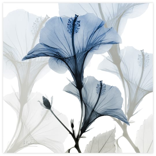 Empire Art Direct 24" x 24" Blue X-Ray Floral Free Floating Tempered Glass Wall Art